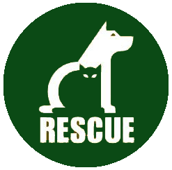 Snake Adoption Central logo. Logo design by randyheil